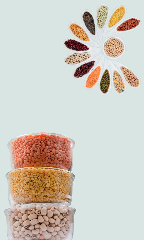 Untitled design - 2025-12-23T193205.122